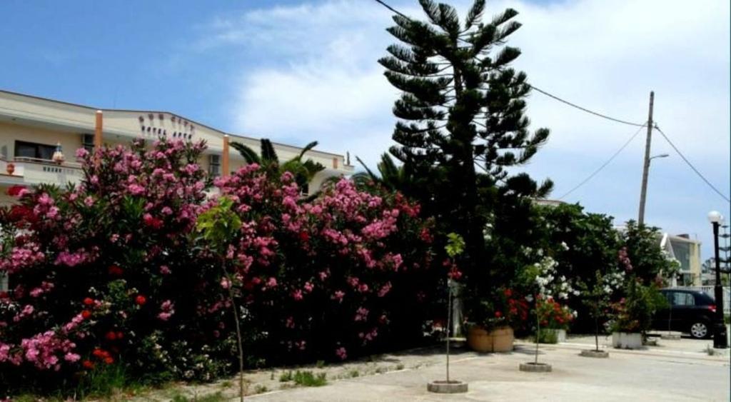 Sun City Kato Daratso Luaran gambar